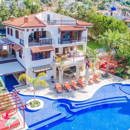 Kaktues Evi فيلة
