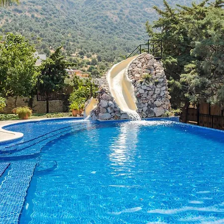 Kaktues Evi فيلة